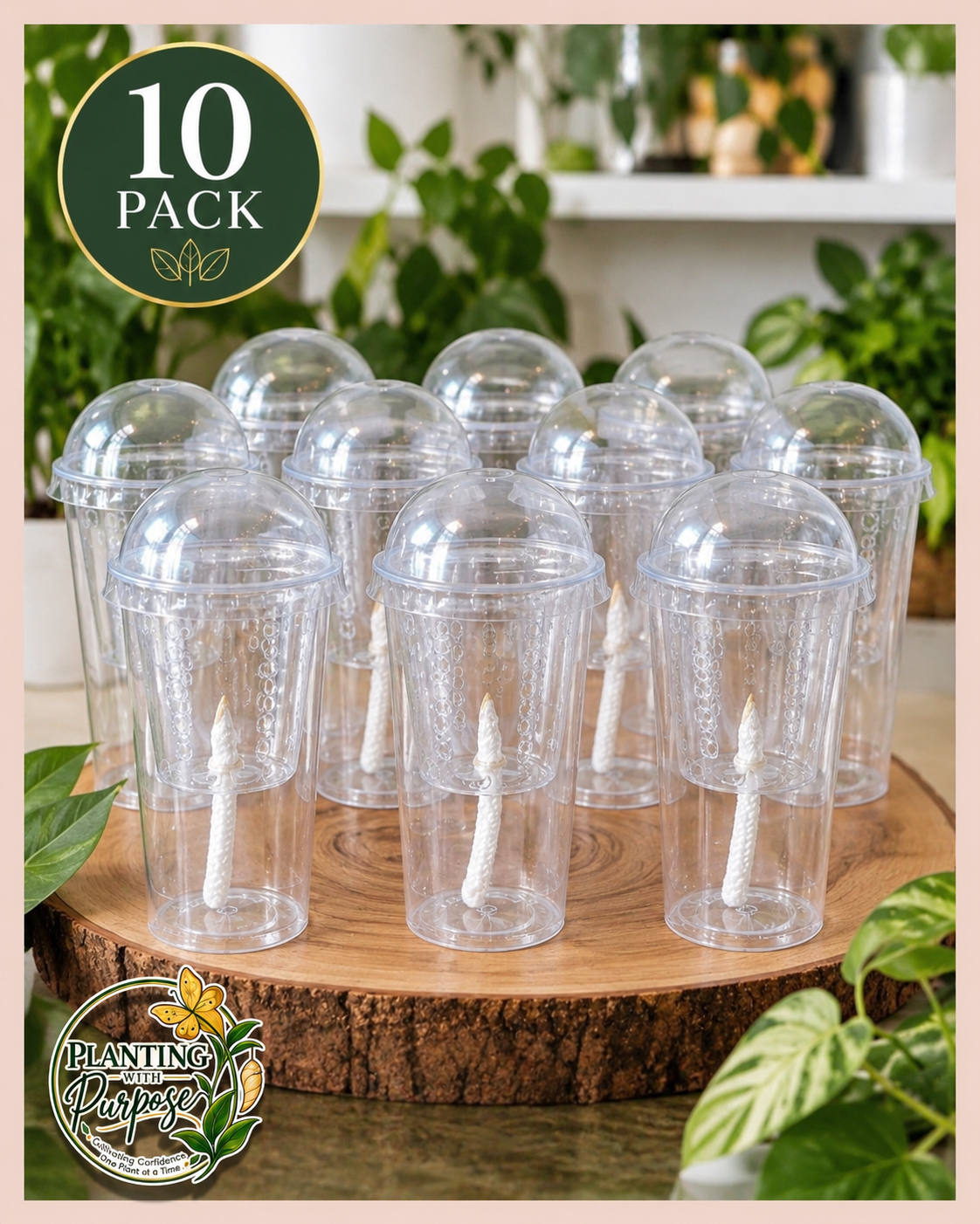 10PK Mini Self-Watering Propagation Cups w/ Humidity Domes 🌱