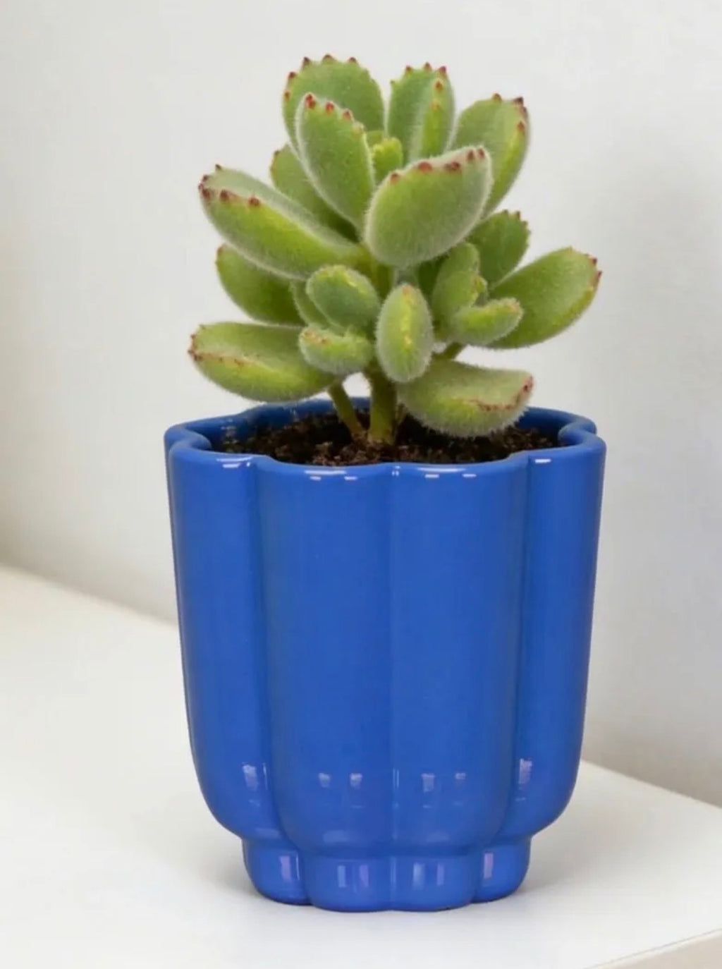 4 Inch Resin Pot